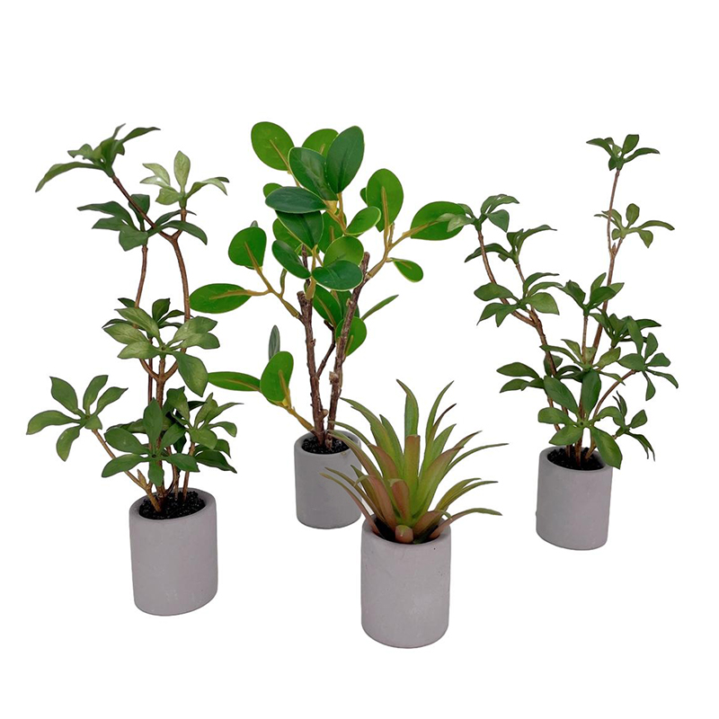 Bonsai Garden House - 1:6 인형의 집 미니어처 화분, 녹색