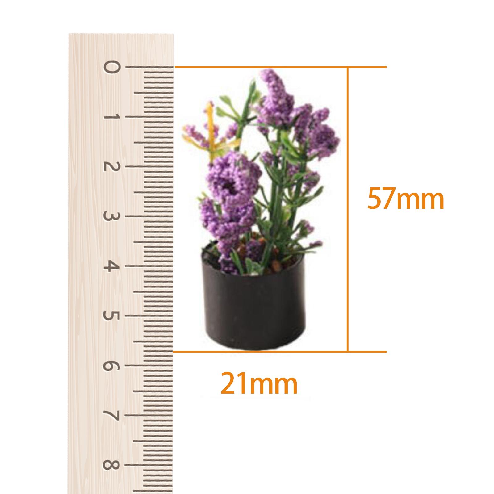 식물 라벨 100개 분재 실내 데스크탑 녹색 이름표 정 - Bonsai Garden Name 리뷰 및 가격