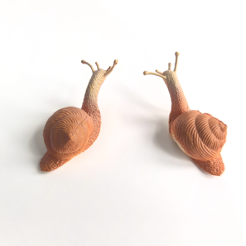 1개 2개 4개 PVC 2인치 바다 달팽이 조경 정원  - Landscape Bonsai Garden 리뷰 및 가격