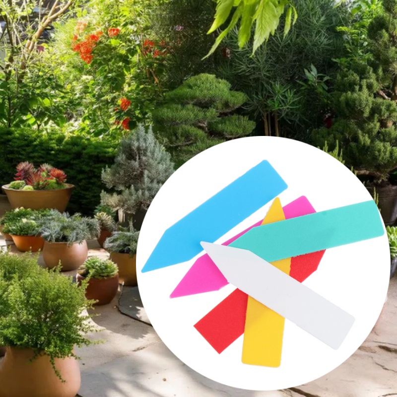 100개 5*1cm 정원 식물 라벨 방수 실내 분재 이 - Bonsai Garden Name 리뷰 및 가격