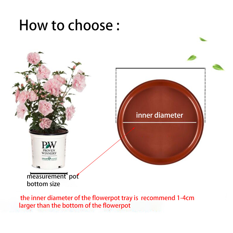 10pcs 플라스틱 꽃 냄비 트레이 기본 식물 접시 라 - Drip Tray Saucer 리뷰 및 가격