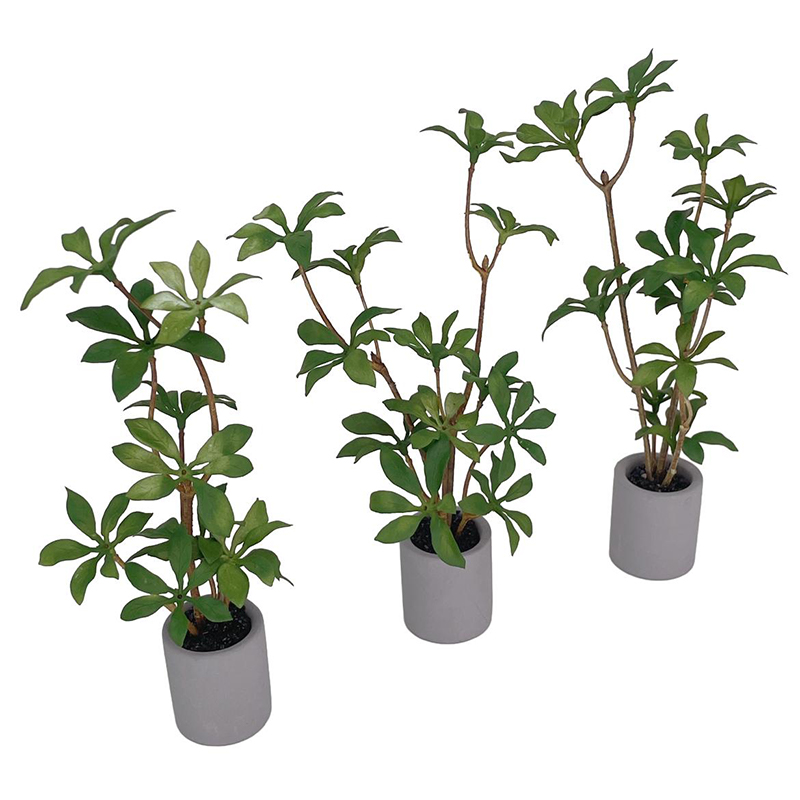 1:6 인형의 집 미니어처 화분, 녹색 잎 식물, 분재 - Bonsai Garden House 리뷰 및 가격